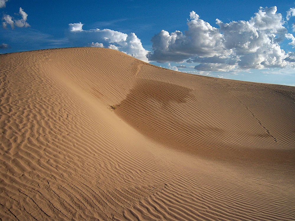 Duna de arena clara con el rizado del viento, en los Médanos de Samalayuca
